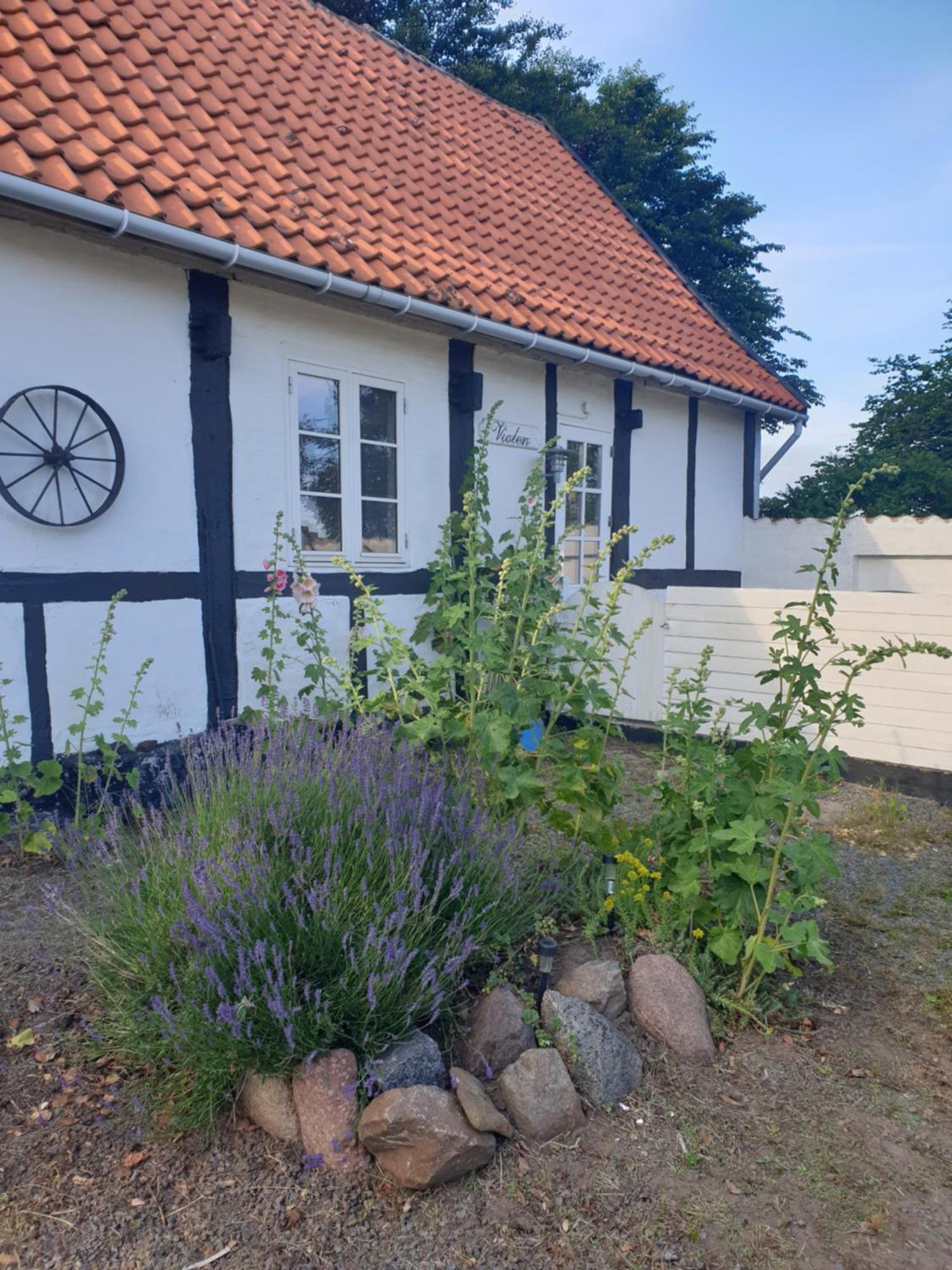 Violen Åkirkeby Exterior foto